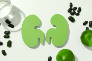 Rendered image of two green kidneys