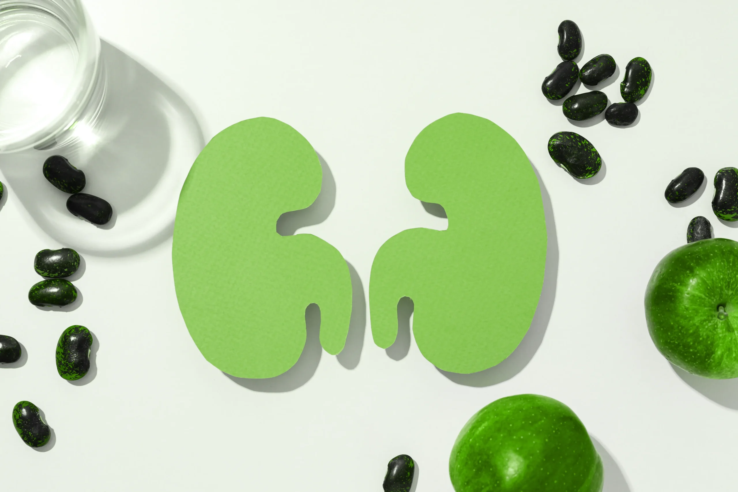 Rendered image of two green kidneys