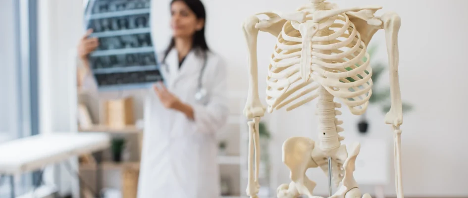 Doctor examining x-ray with a skeletal model