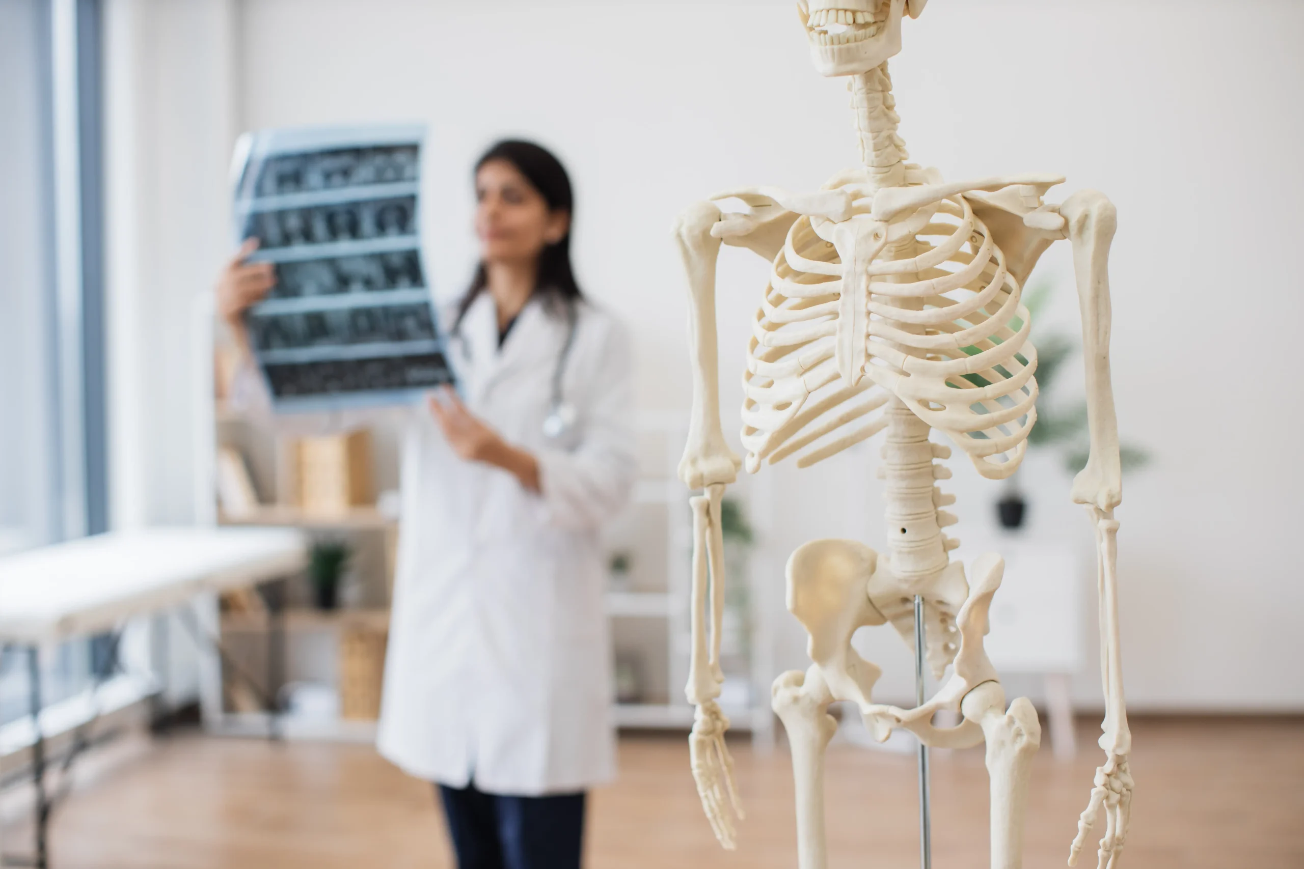 Doctor examining x-ray with a skeletal model