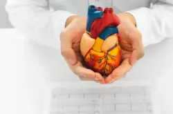 Doctor holding model of a heart with EKG scans on the table below