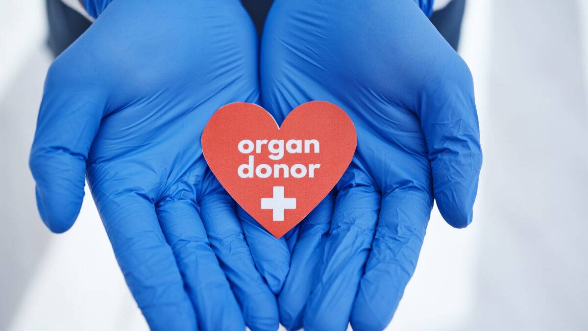 Gloved doctors hands holding a paper heart