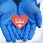 Gloved doctors hands holding a paper heart