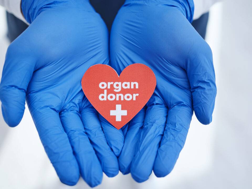 Gloved doctors hands holding a paper heart