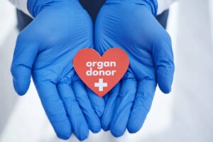 hands-heart-and-doctor-with-organ-donation-help-2026-03-25-02-49-18-utc Gloved doctors hands holding a paper heart