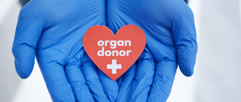 hands-heart-and-doctor-with-organ-donation-help-2026-03-25-02-49-18-utc Gloved doctors hands holding a paper heart