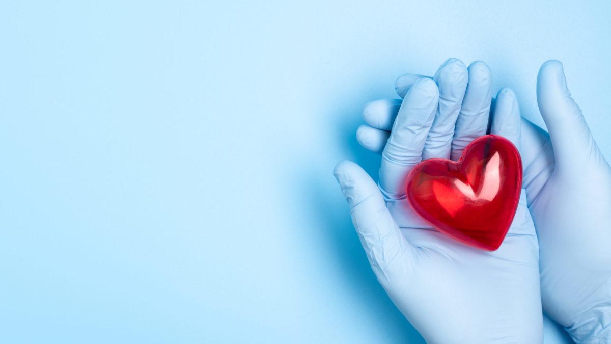 The hand wearing blue medical glove holding a red heart