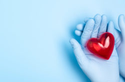 The hand wearing blue medical glove holding a red heart