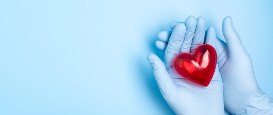 The hand wearing blue medical glove holding a red heart