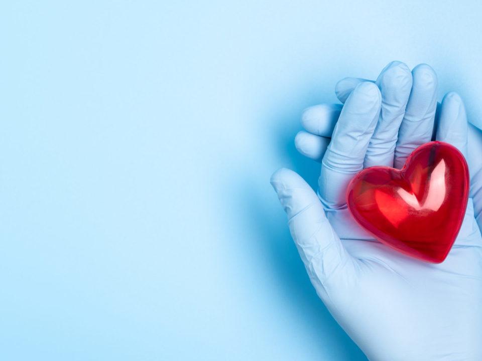 The hand wearing blue medical glove holding a red heart
