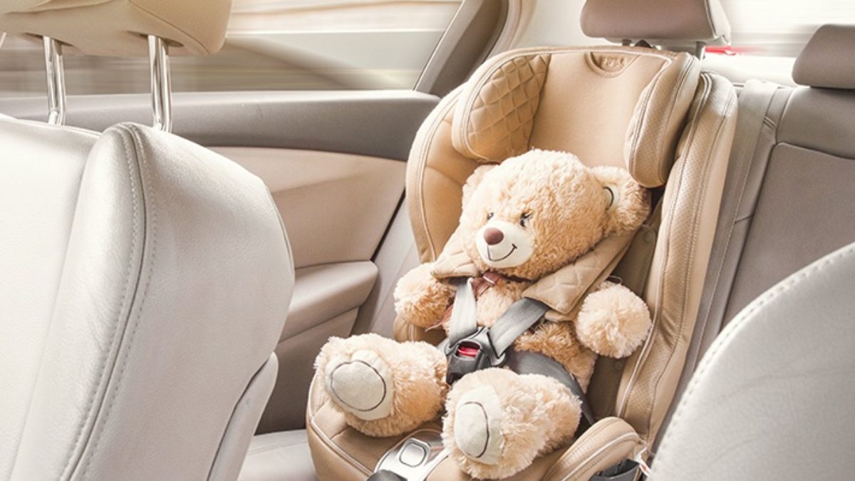 teddy bear in child car seat