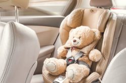 teddy bear in child car seat