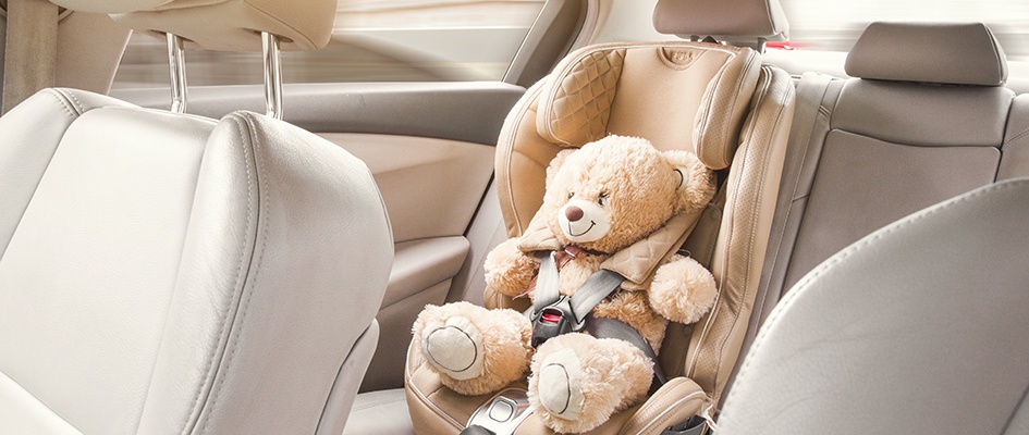 teddy bear in child car seat