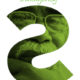 guide for stroke patients cover