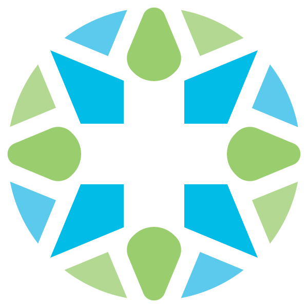 lenmed logo bits